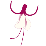 Tooth Fairy Studio LOGO