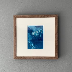 cyanotype origineel ingelijst